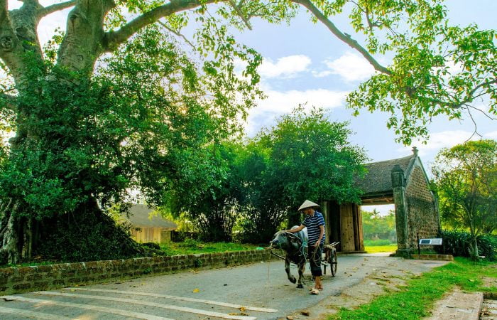 que voir et que faire à Hanoi