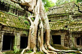 Temple d'Angkor, Cambodge