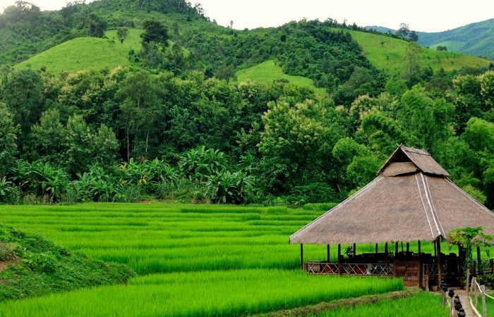 kamu lodge rizières