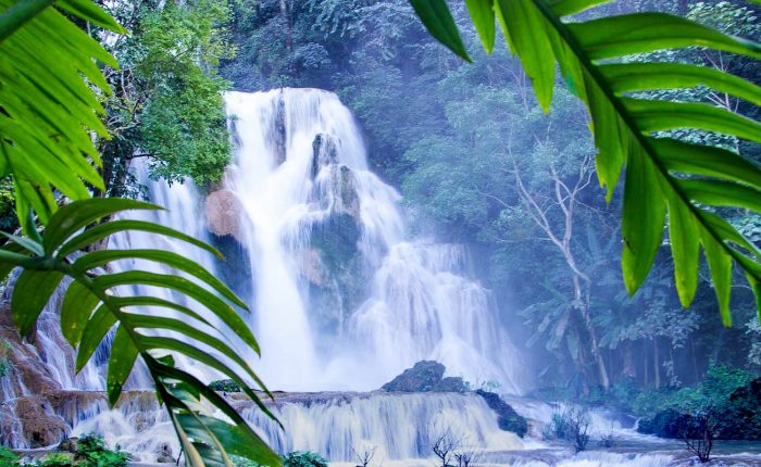 cascades dans la jungle Laos
