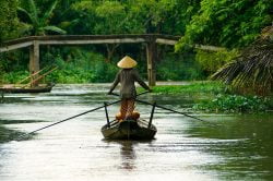 Le delta du Mékong Vietnam