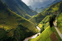 Bien préparer votre voyage au Vietnam