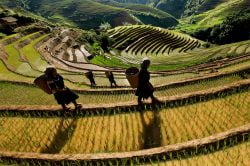 Que voir à Mu Cang Chai ?