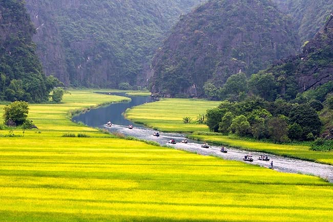Pourquoi voyager au Vietnam ? Pourquoi voyager au Vietnam