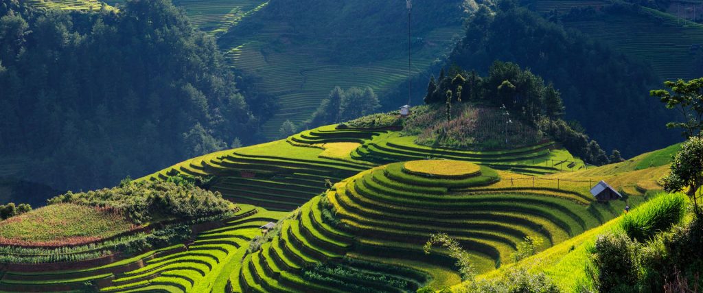 Circuit Vietnam du nord 15 jours