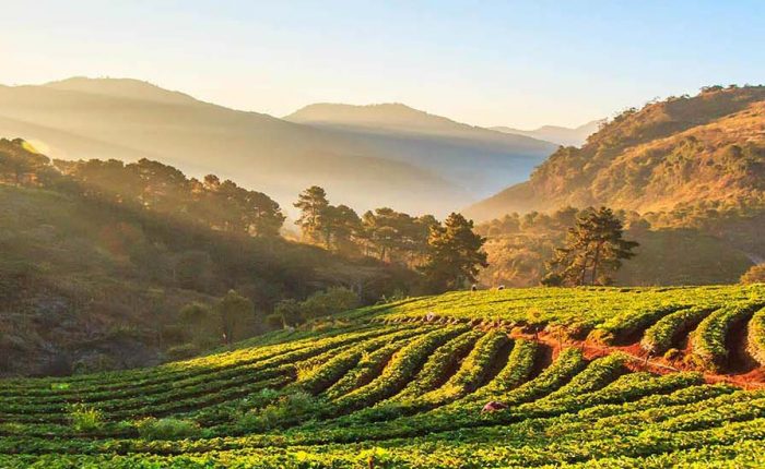 parc national thailande