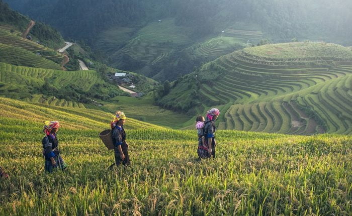 Voyage photos vietnam