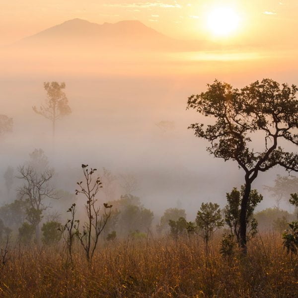 Guide voyage Thailande