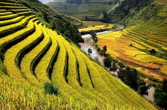 Sapa - Une des destinations idéales pour avoir un voyage en famille Vietnam