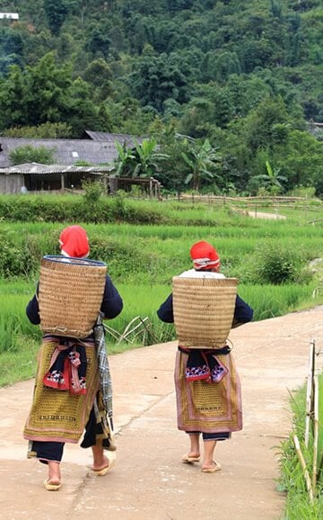 Bien préparer votre voyage au Vietnam Bien préparer votre voyage au Vietnam