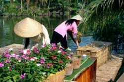 Circuit Vietnam extension plage