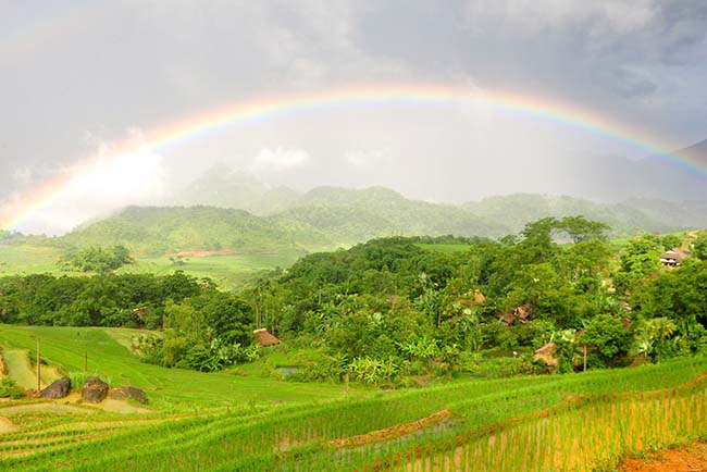 La réserve naturelle Puluong