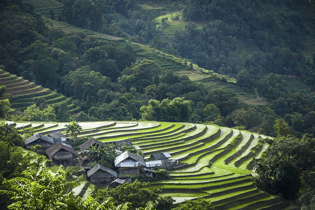 Circuit Vietnam 15 jours Circuit Vietnam 15 jours