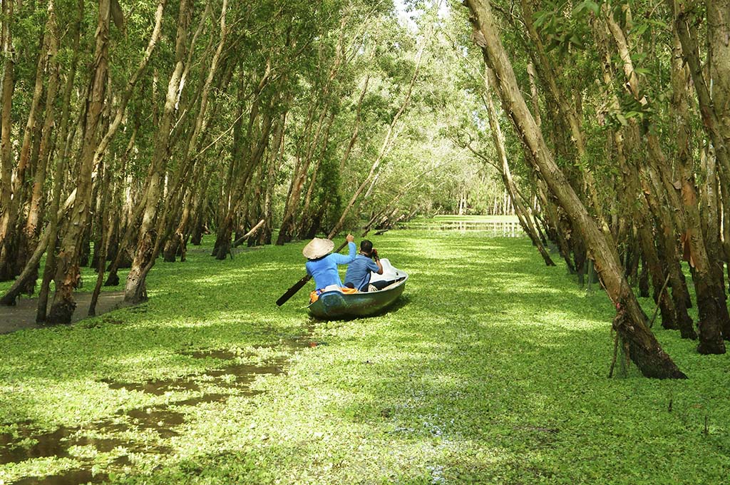 voyage en famille ai Vietnam: Tra Su indigo forest, Vietnam ecotourism
