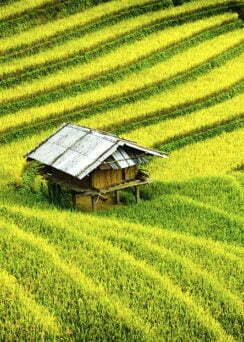 Circuit du Nord Vietnam 12 jours