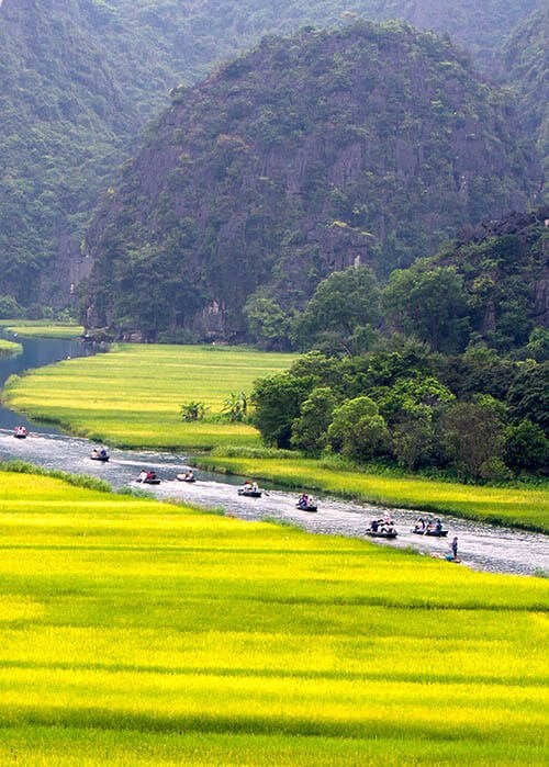 Tour d'Horizon du Vietnam