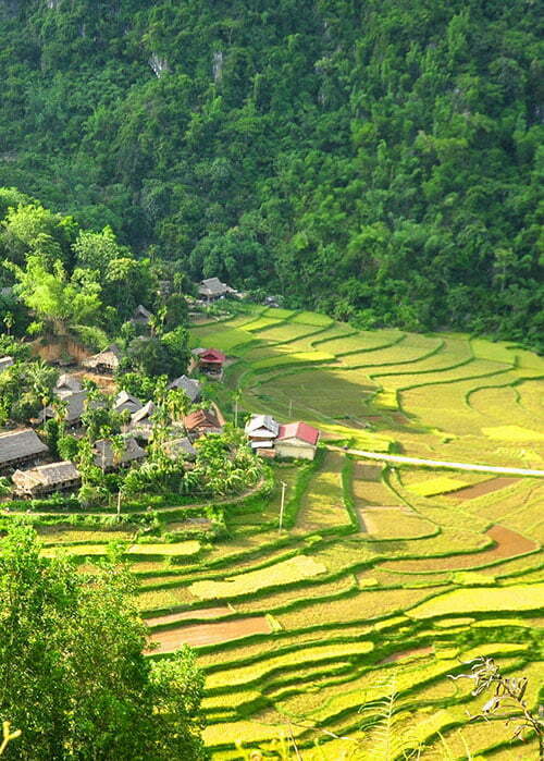 La réserve naturelle de Puluong