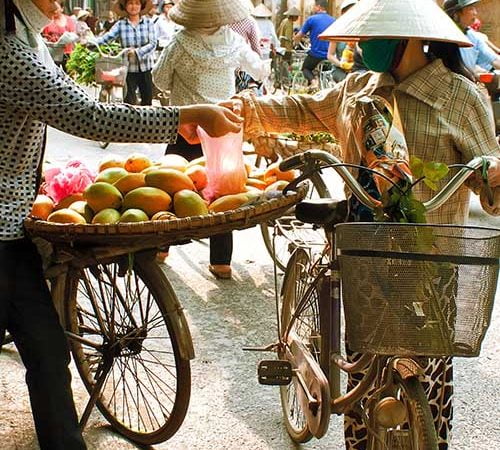 Tour d'Horizon du Vietnam