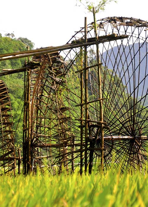 La réserve naturelle de Puluong