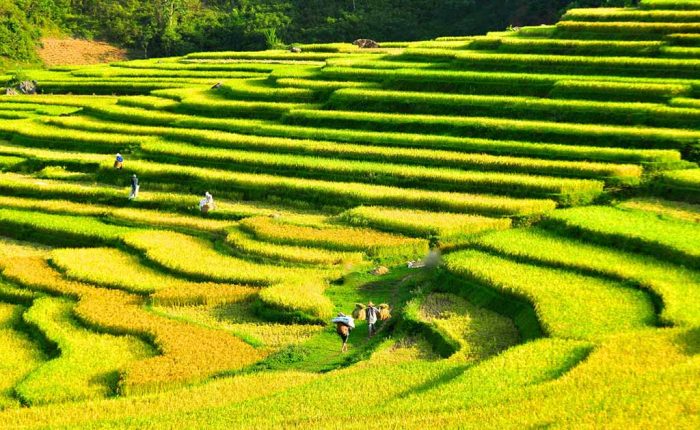 La réserve naturelle Puluong