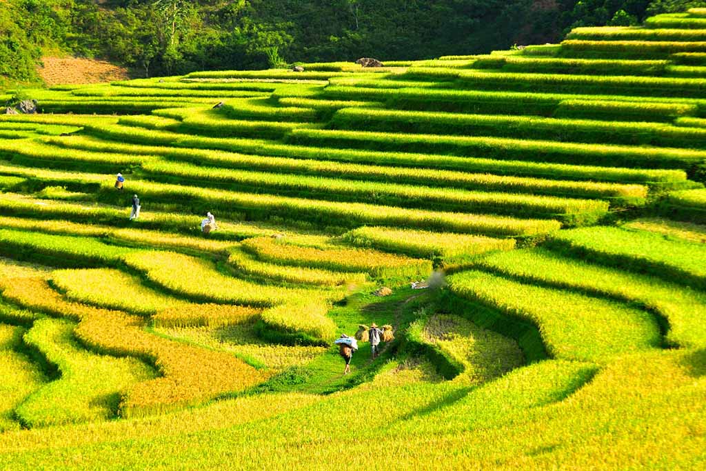 La réserve naturelle Puluong