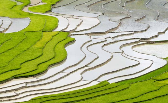 Mu Cang Chai Vietnam