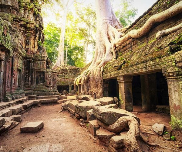 Ta Phrom, Siem Reap Cambodge