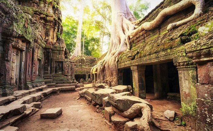 Ta Phrom, Siem Reap Cambodge