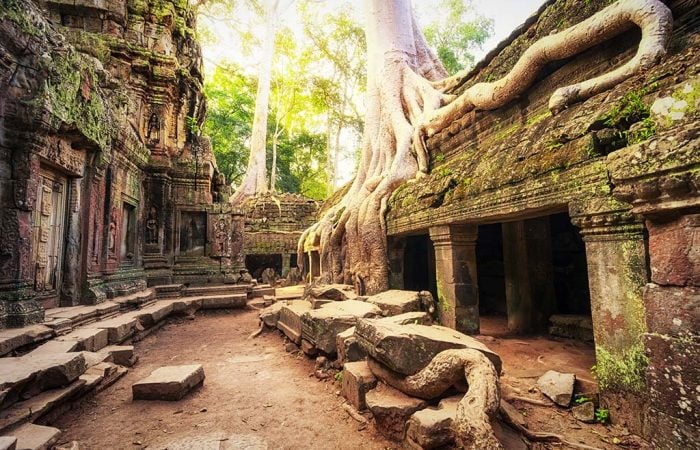 Ta Phrom, Siem Reap Cambodge