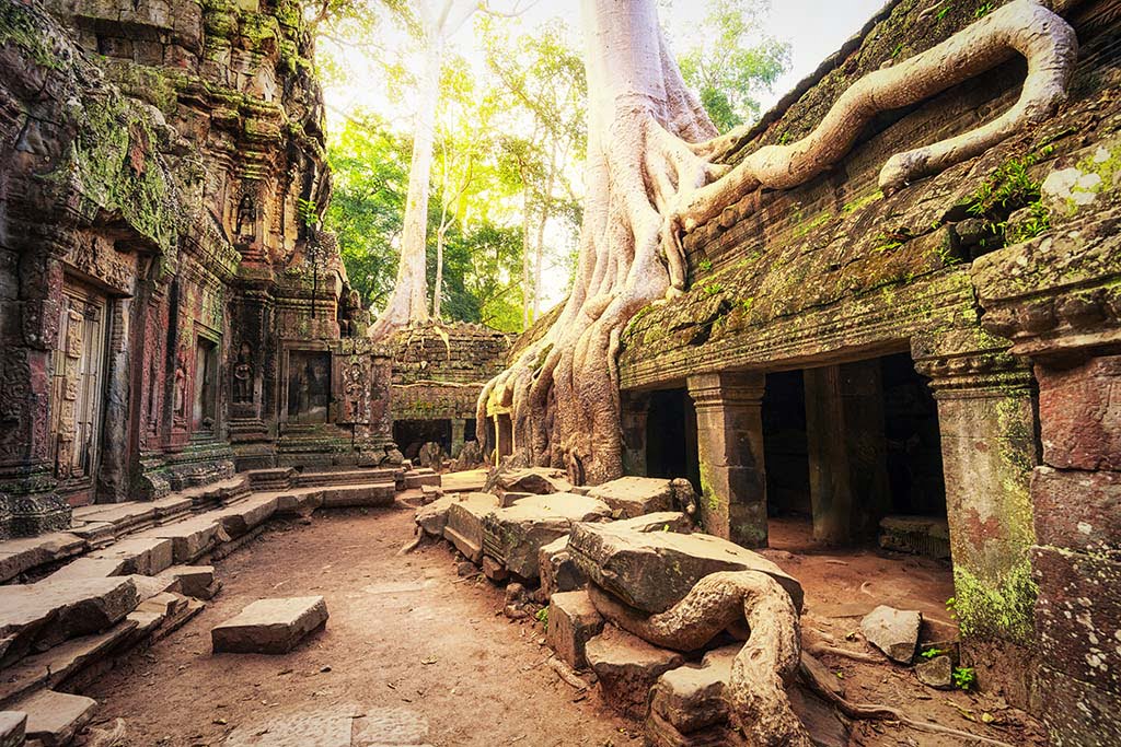 Ta Phrom Siem Reap Cambodge