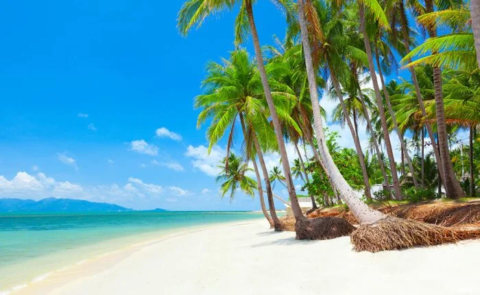 Koh Samui Thailande