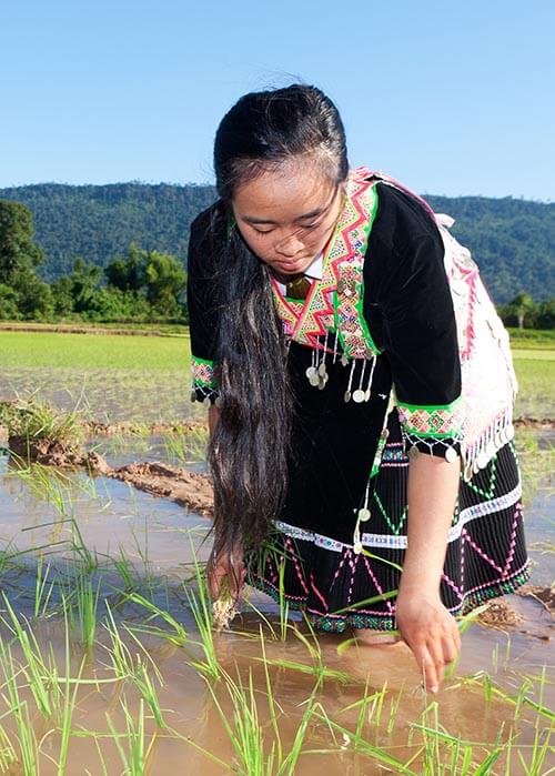 Ethnies Voyage au Laos