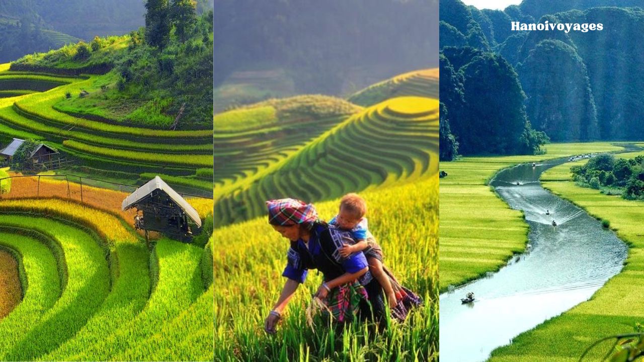 Voyage Vietnam tout inclus