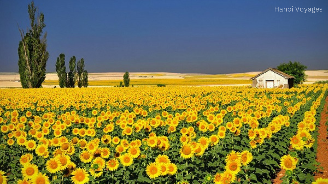 Voyage au Vietnam en Avril