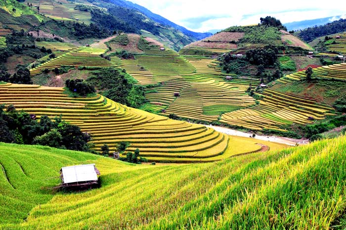 Que faire à Mu Cang Chai ?