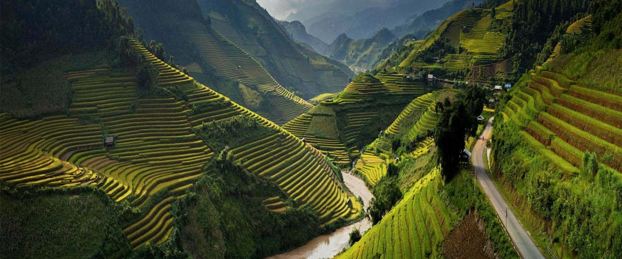 Quand partir à Mu Cang Chai ?