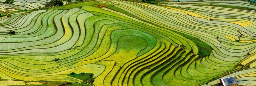 Sapa_Guide de voyage au Vietnam en juillet
